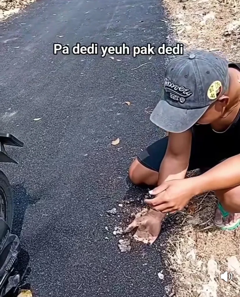 jl tanjungsari
