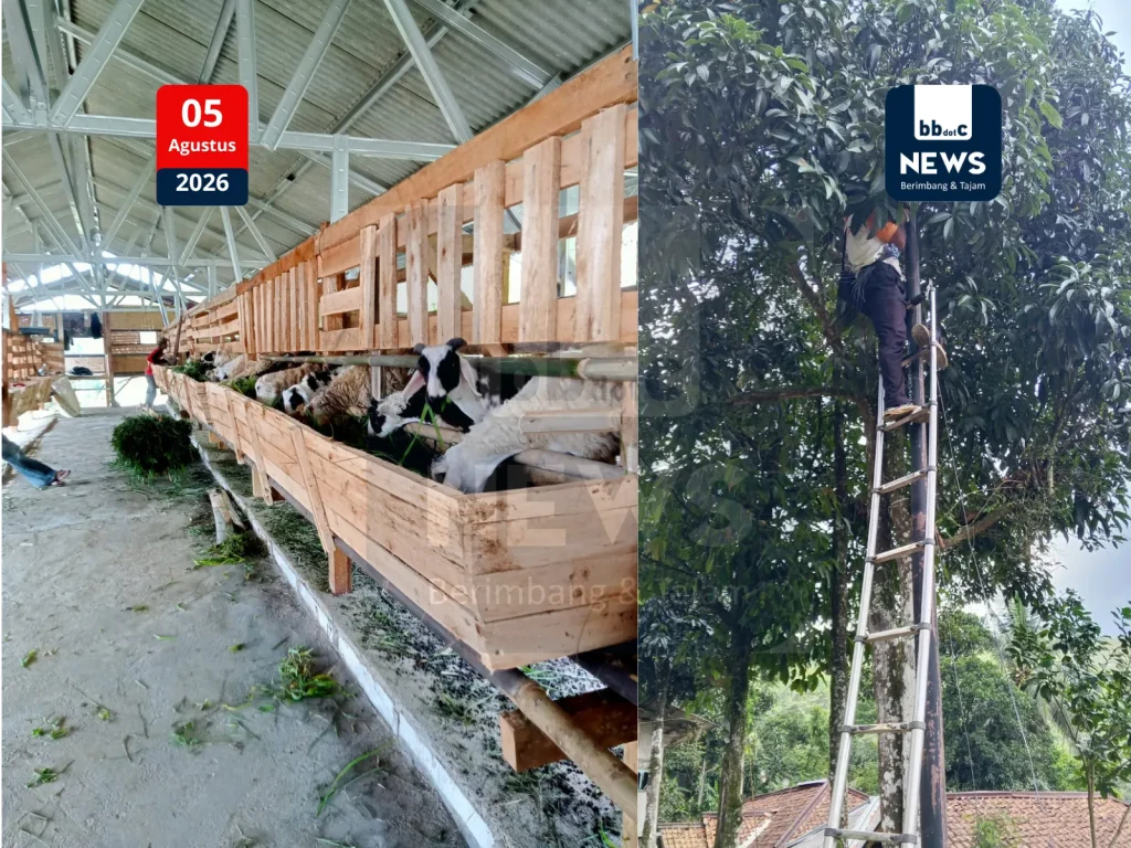 pemdes cijangkar nyalindung 1 webp