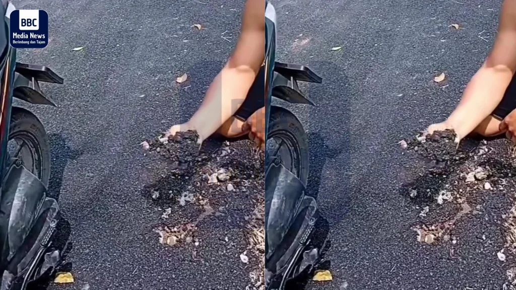 contoh kerjaan