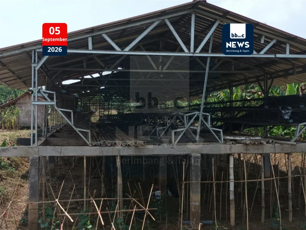 kandang ayam bumdes motekar